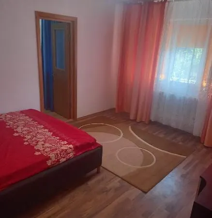 Nechita Roxana Apartment