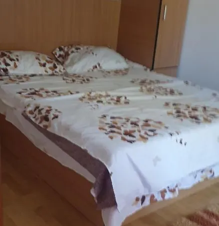 Nechita Roxana Apartment